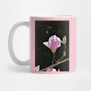 Pink Tulip Magnolia Bloom and Buds Mug